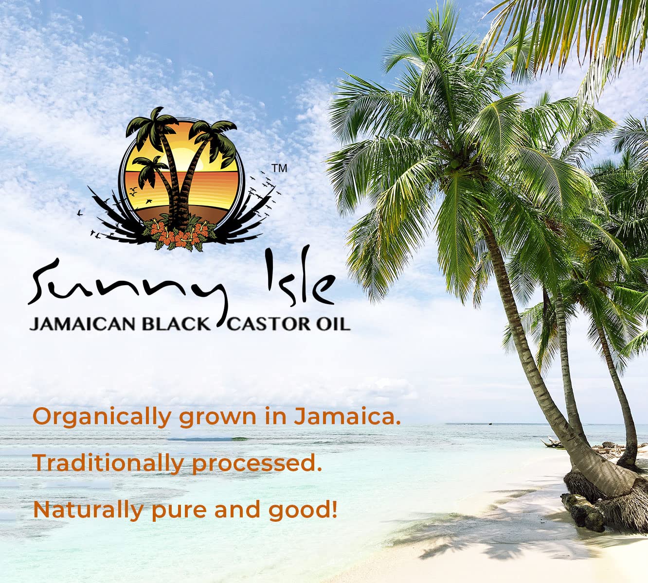 Sunny Isle Extra Dark Jamaican Black Castor Oil - Image 8